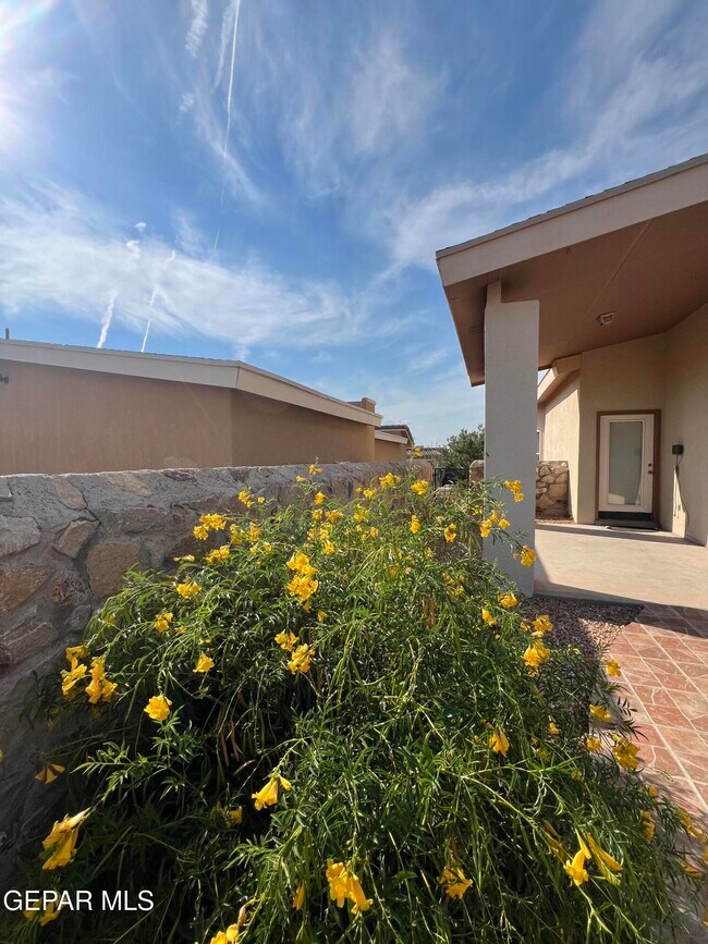 Building Photo - 6700 Hermoso Del Sol Dr