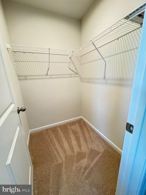 Building Photo - 488 Switchgrass Ct