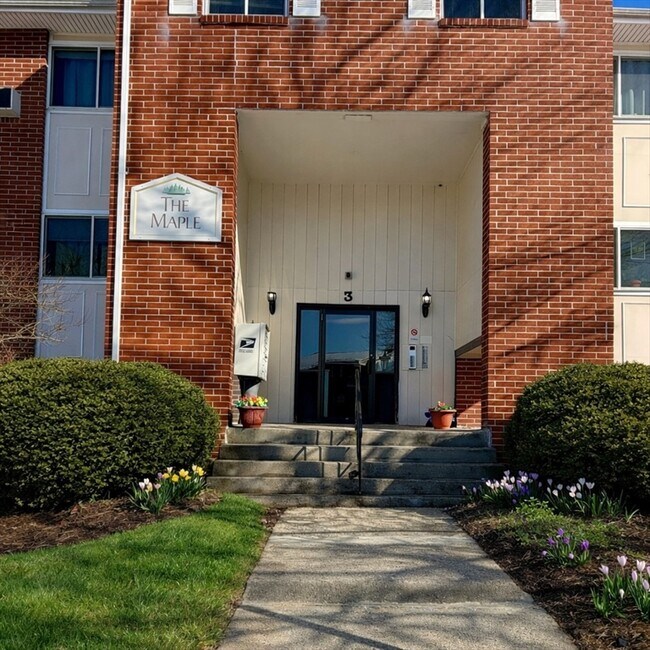 Building Photo - 3 Dailey St