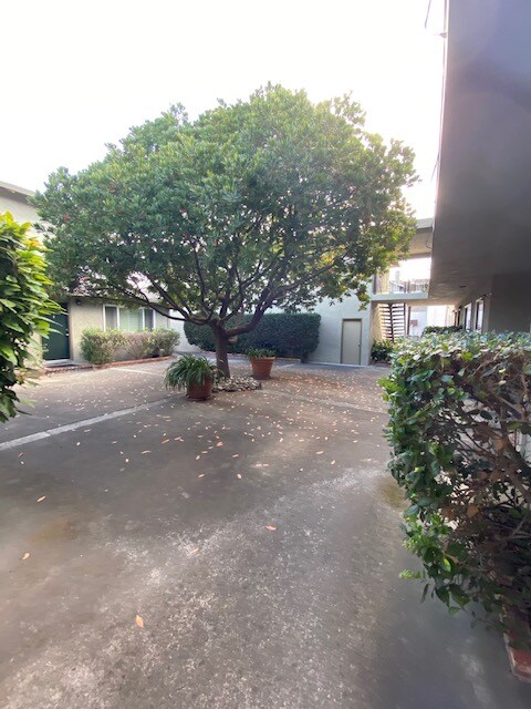 Building Photo - 1223 Cortez Dr