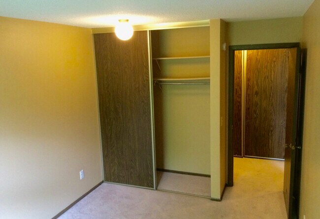 guest bedroom closet - 938 Westbrooke Way