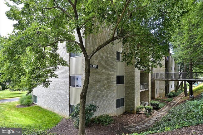 Building Photo - 12305 Braxfield Ct