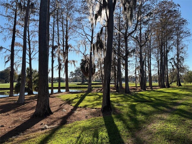 Building Photo - 36750 US Hwy 19 N