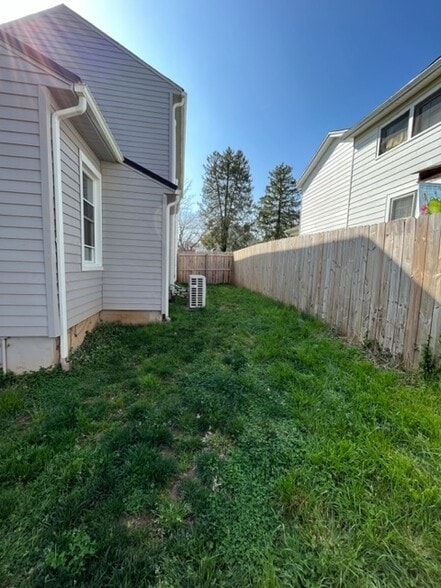 Side yard - 803 Grove St