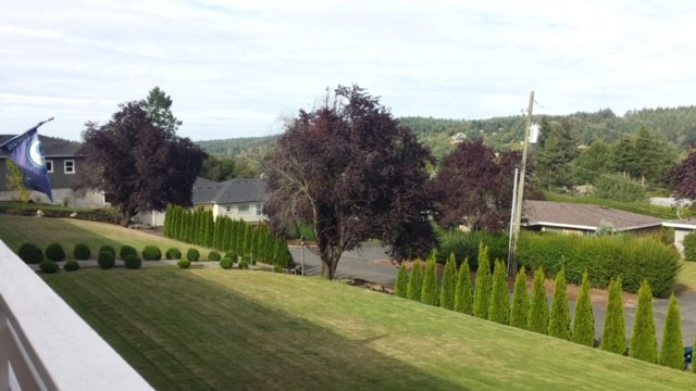 Lawn and Territorial Views - 7800 Stinson Ave
