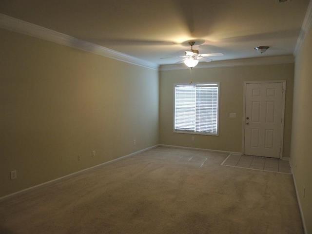 Building Photo - 3196 Cedar Glade Ln NE