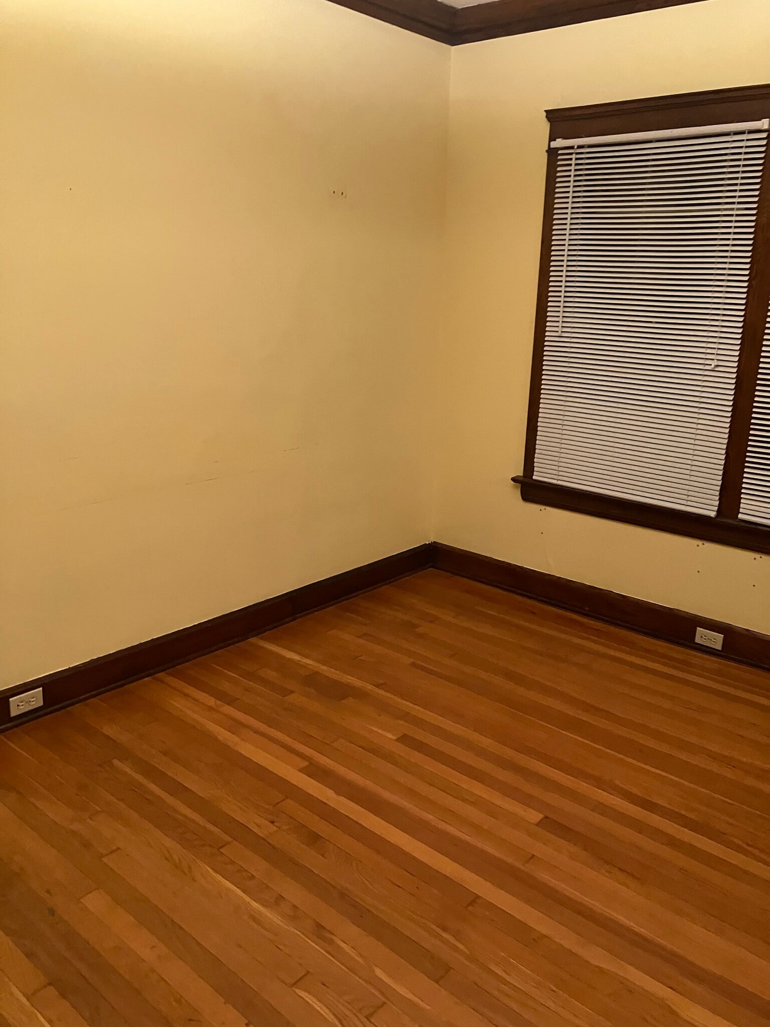 den - 1567 Woodward Ave