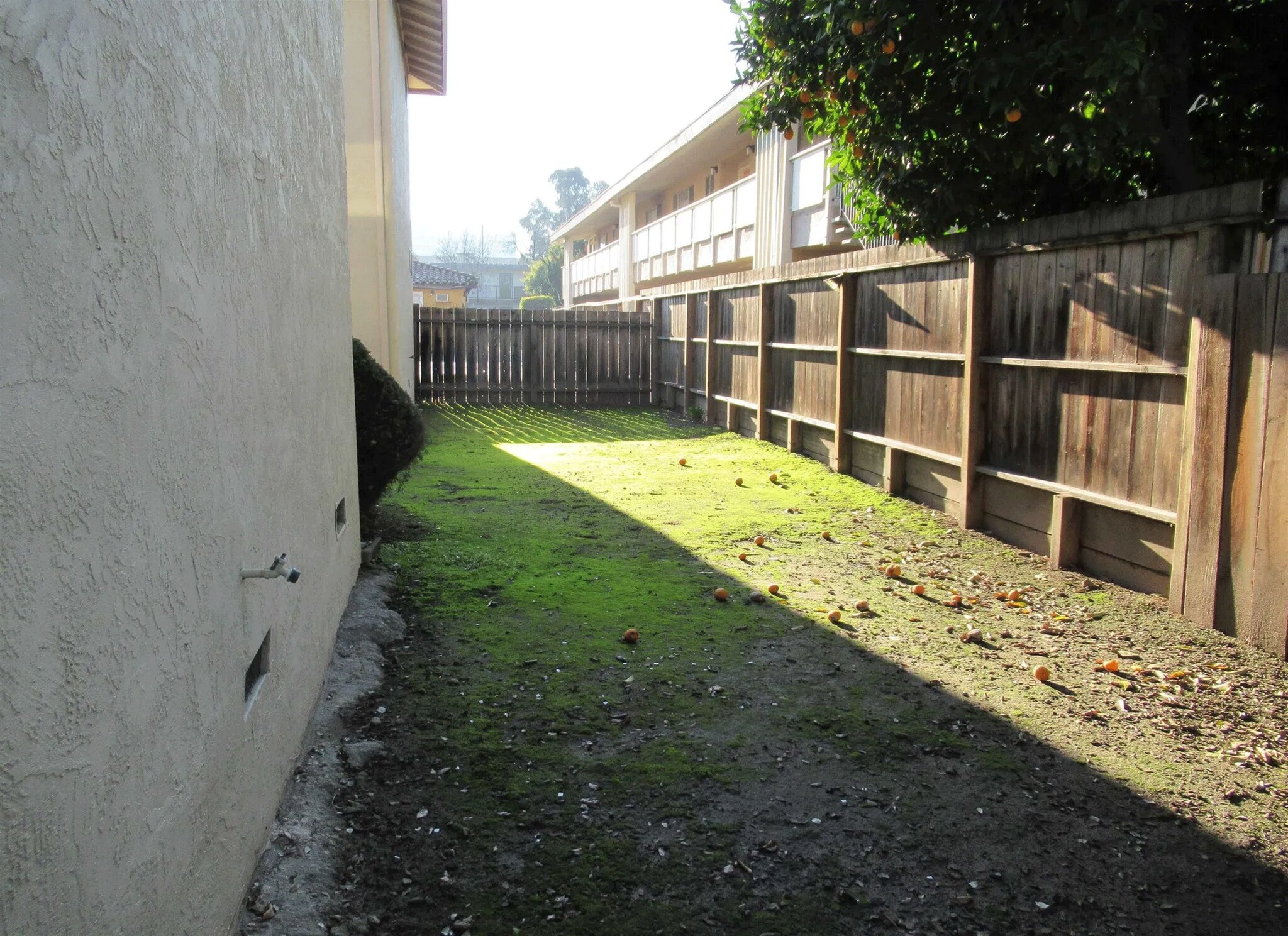 Building Photo - 2149 Mount Diablo St