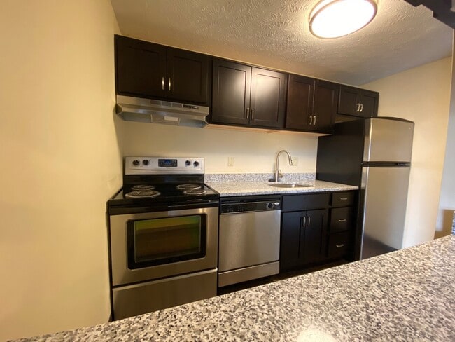 Apt Updated Kitchen