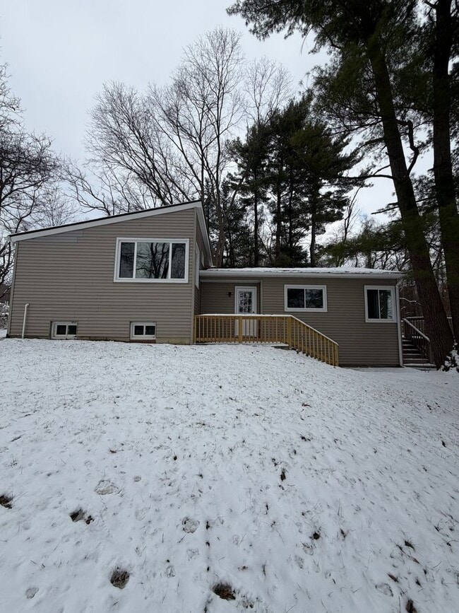 Building Photo - Beautifully Renovated 3/2 in Huge Lot