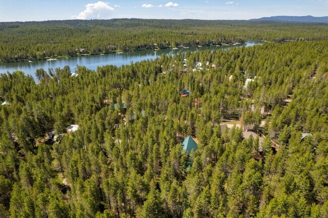 Building Photo - 3627 Bills Loop Rd