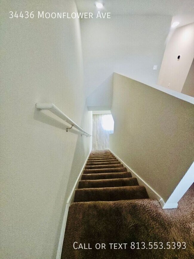 Building Photo - 34436 Moonflower Ave