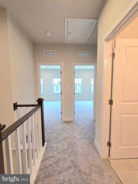 Building Photo - 4540 Dandelion Lp