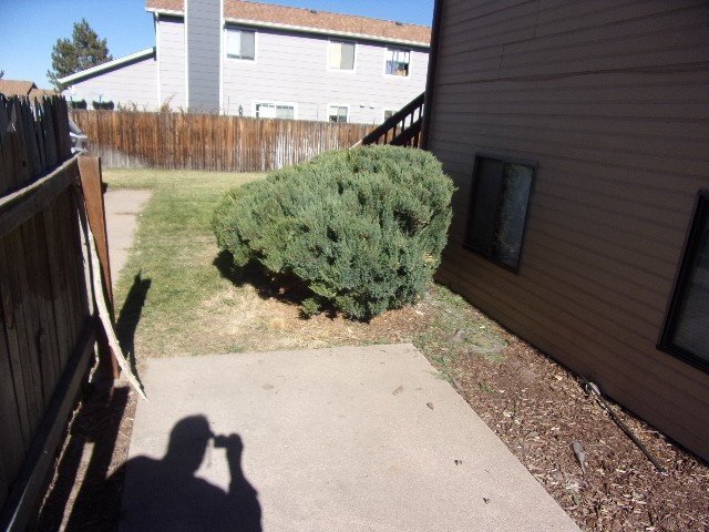 Building Photo - Littleton Ranch Style Home - 2 Bedrooms - ...