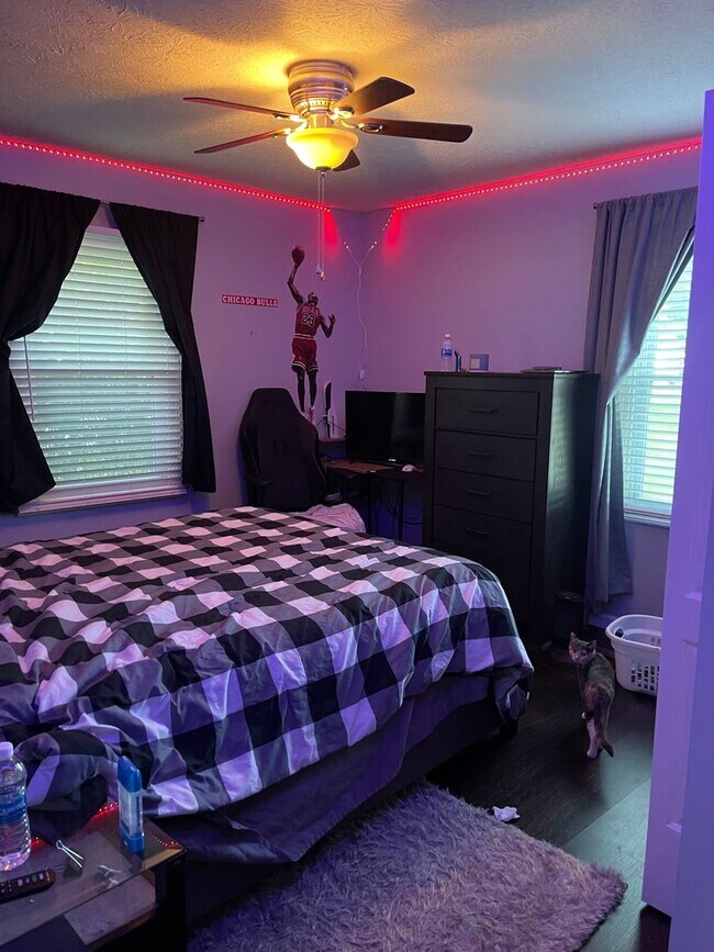 Building Photo - 3 Bedroom in South Spfd!