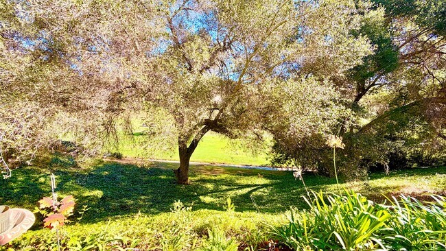 Building Photo - Beautifully Updated & Remodeled Townhome on the Pala Mesa Golf Course in Fallbrook!