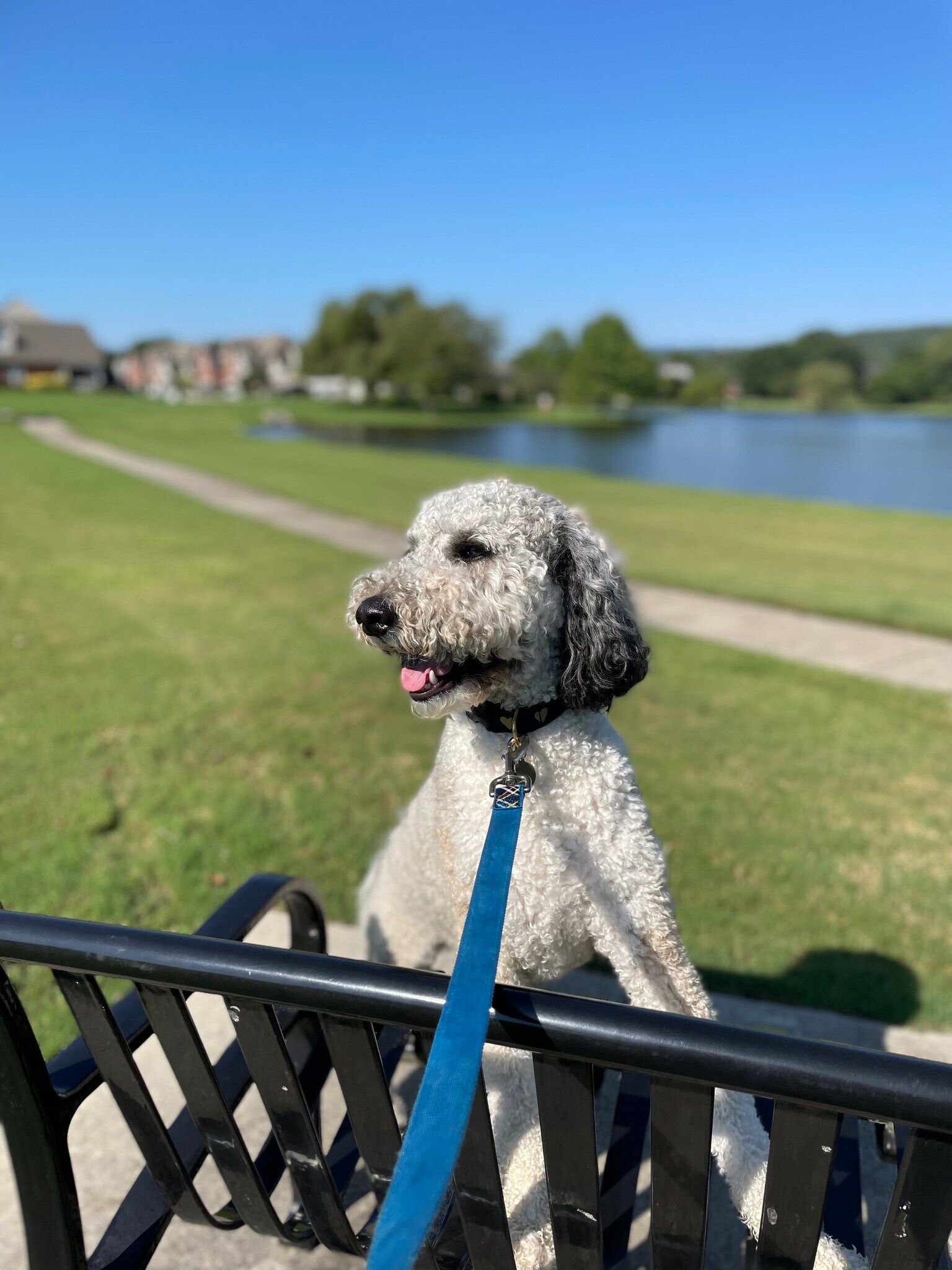 Sit on a bench and relax and watch wildlife - 3141 Mallard Point Dr SE