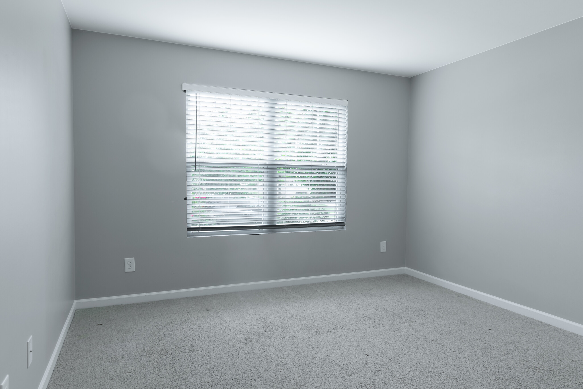 Bedroom #3 - 644 Pemberton Dr