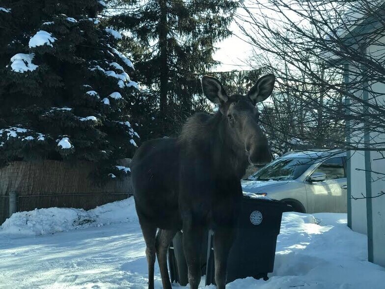 visitors - 343 W 12th Ave