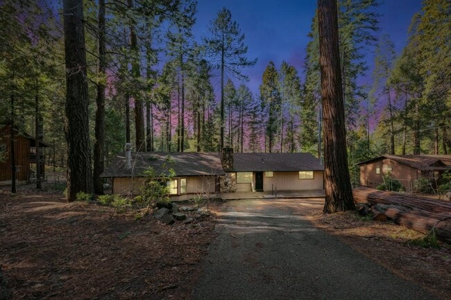 Building Photo - 2900 Shady Ln
