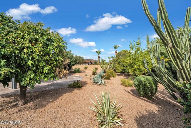 Building Photo - 2410 E Sahuaro Dr