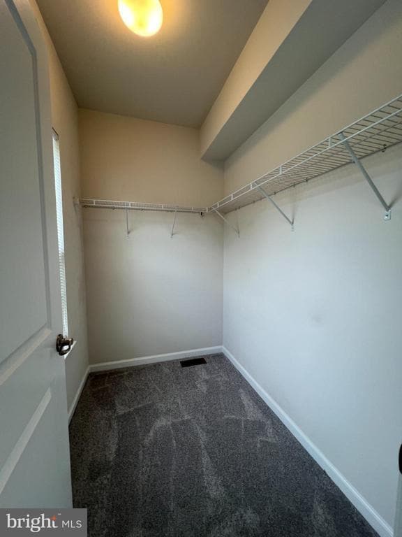 Building Photo - 3628 Briarwood Dr