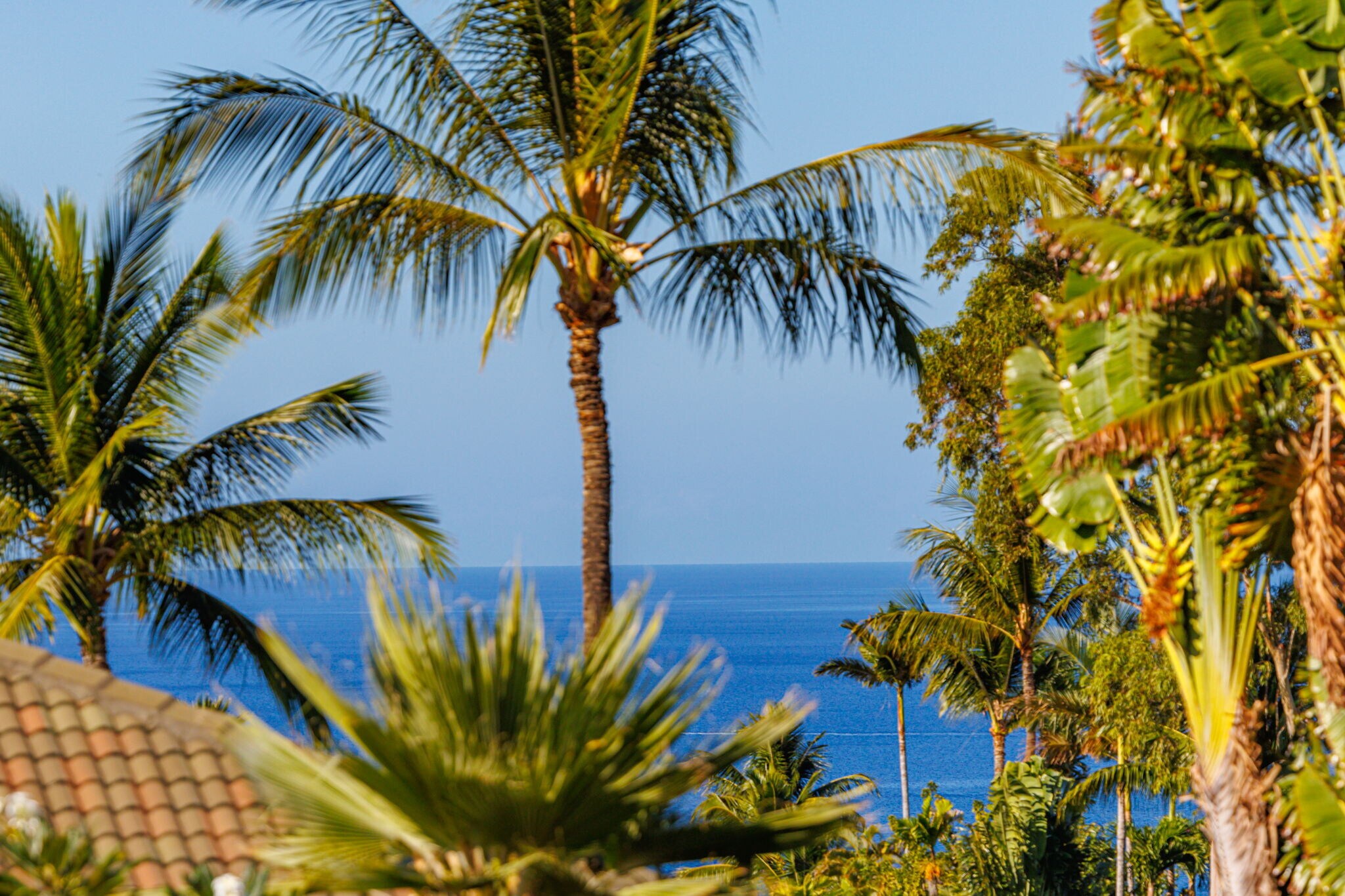 Building Photo - 3950 Kalai Waa St