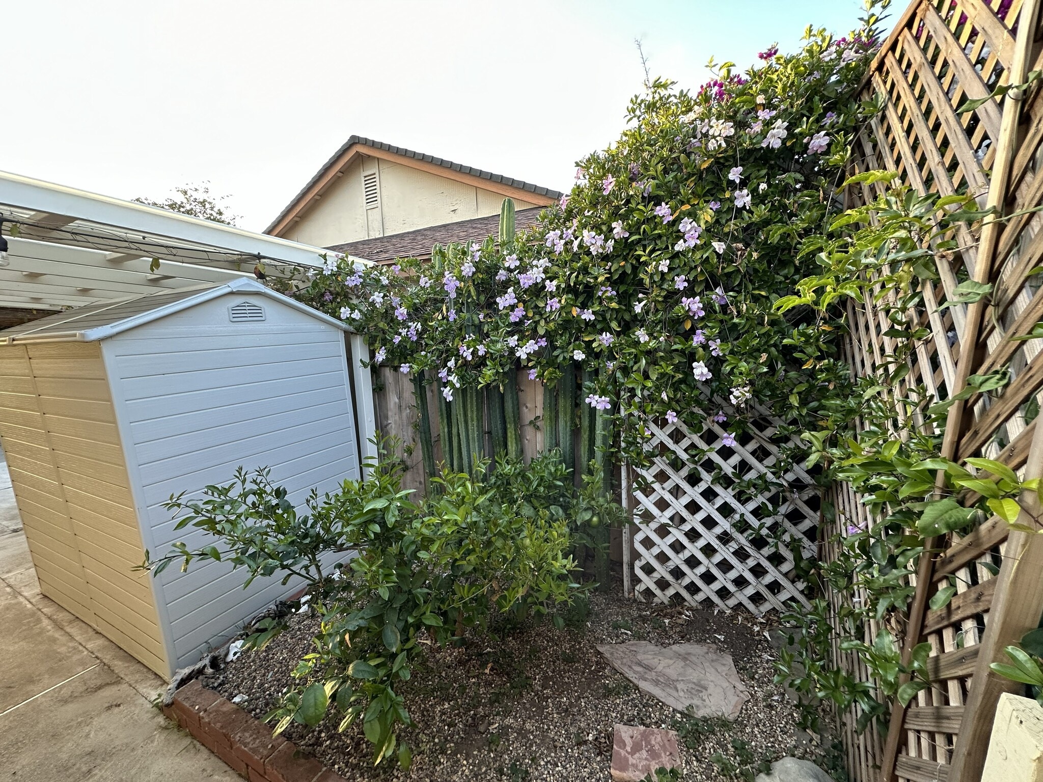The view of the garden area and the back of the storage shed. - 152 Redfield Ave