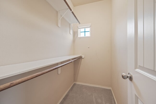 Building Photo - 2827 Arica Ln