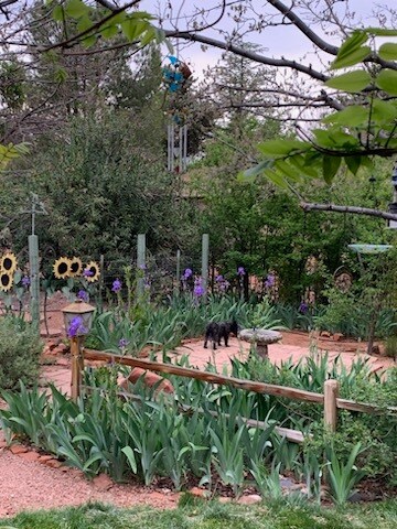 Building Photo - 70 Red Fox Ln