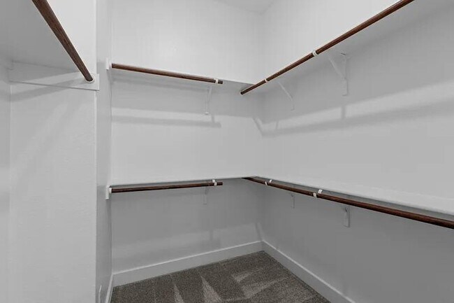 Building Photo - 217 Flowering Senna Dr