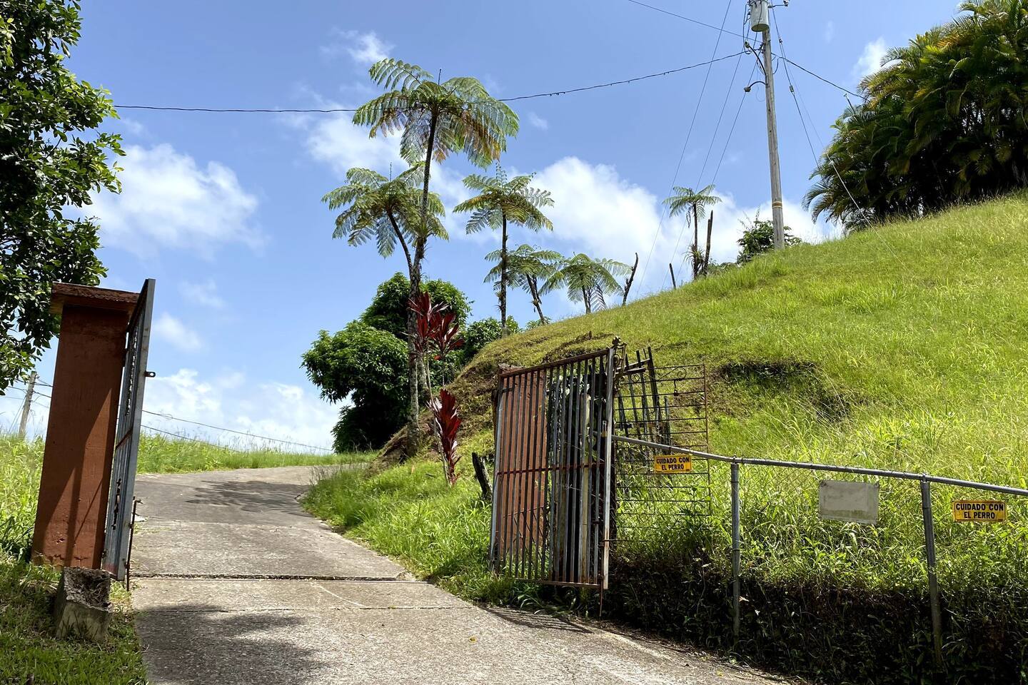 Building Photo - 445 W Mangrum Dr