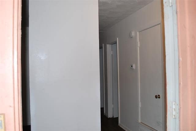 Building Photo - 3809 Titan Trail