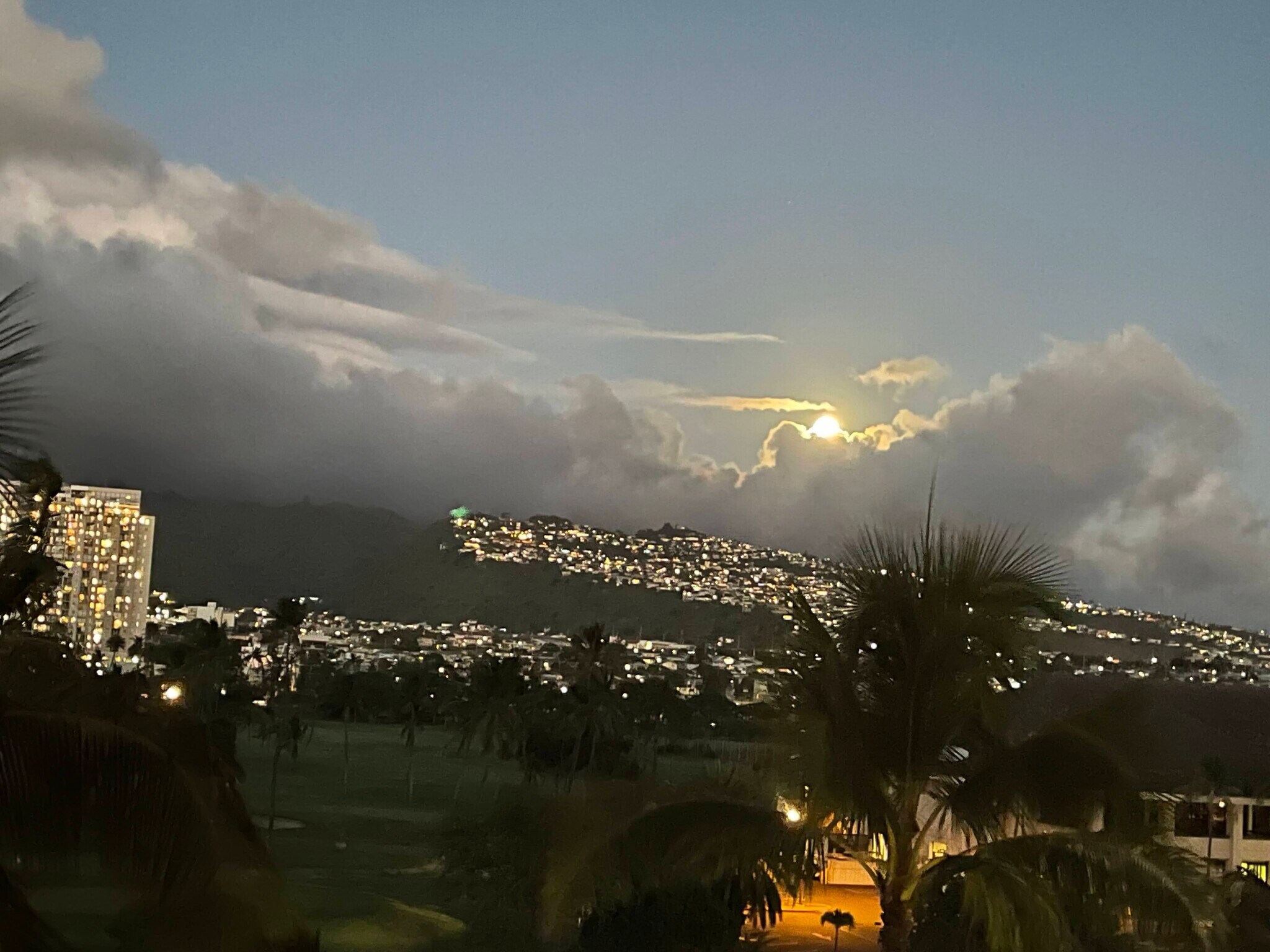 Evening view - 320 Liliuokalani Ave