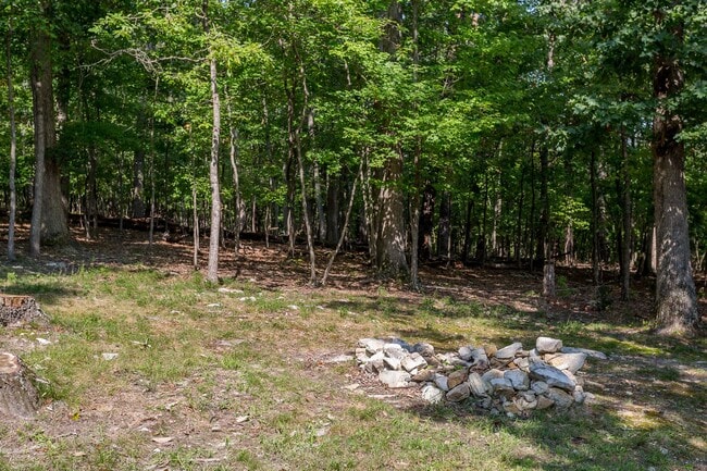 Building Photo - Spacious 4-Bedroom Home in Massanutten Resort