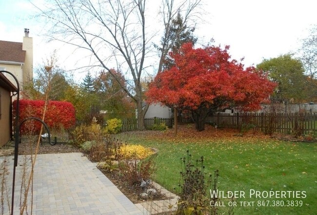 Building Photo - 4267 Shadowrock Ct