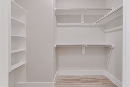 Building Photo - 1741 Cove Cres Ct