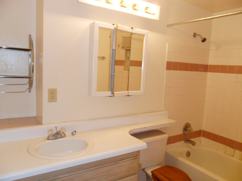 2 on-suite bathrooms - 1440 E Lee St