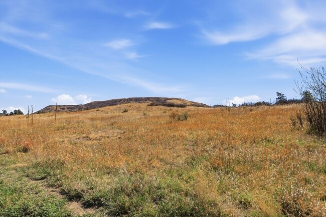 Building Photo - 4 Bed 2.5 Bath Home in Plum Creek of Castle Rock