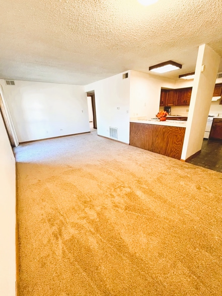 Living room - 884 N Prairie Ave