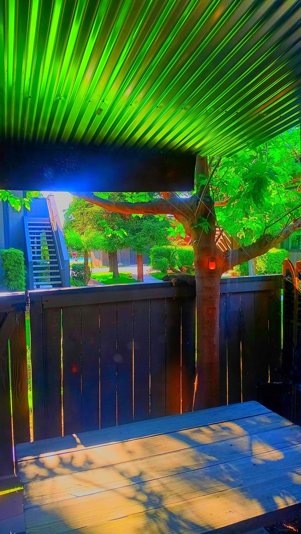 Fenced Private Patio - 1190 S Winery Ave