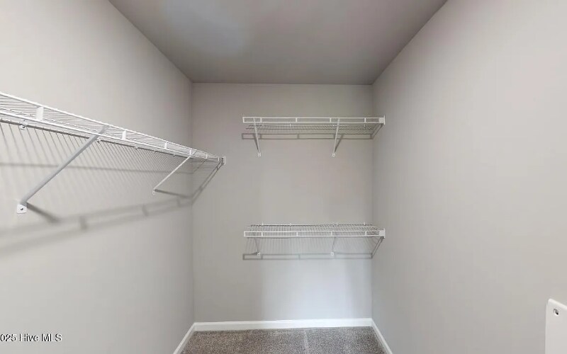 Building Photo - 301 Grand Oaks Dr