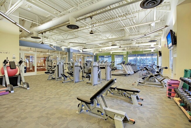 Building Photo - 168 Sea Lavender Ln