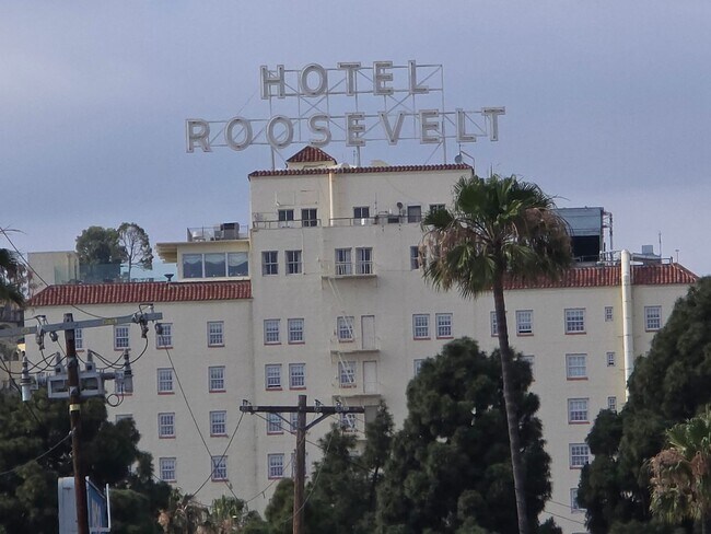 Building Photo - 1351 N Orange Dr
