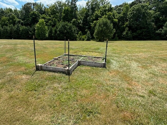 Building Photo - Lightly Furnished 4BR, 4BA Chapel Hill Hom...