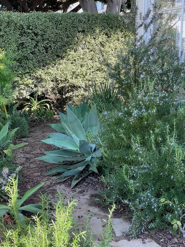 front house  outdoor space - 830 20th St