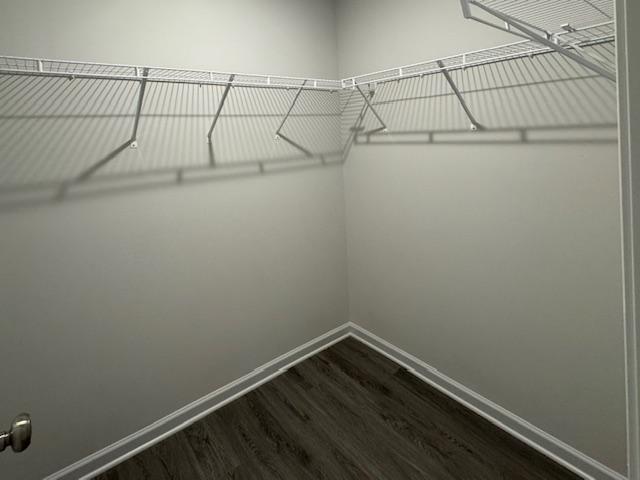 Building Photo - 119 Monroe Ct