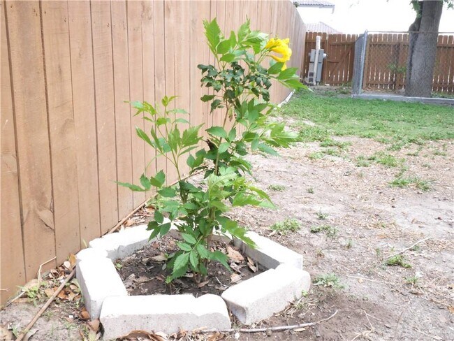 Building Photo - 36 Oliva St