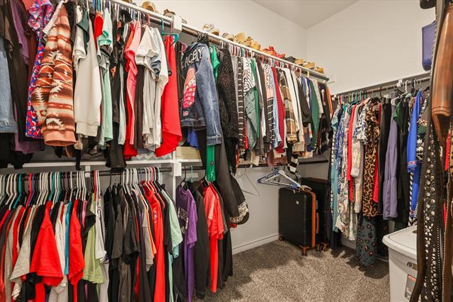 Building Photo - 2919 Shetland Dr