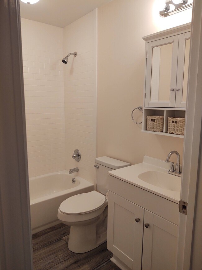 Hallway bathroom - cultured marble tub surrounds - 230 E Meadowlake Pky